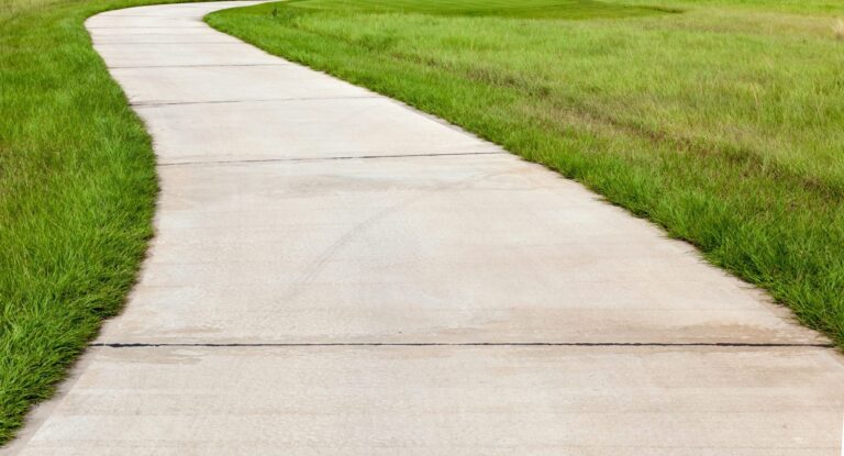 An image of a winding sidewalk and green trimmed grass on each side.