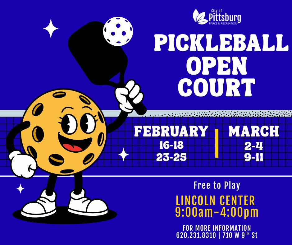 Pickleball Open Court